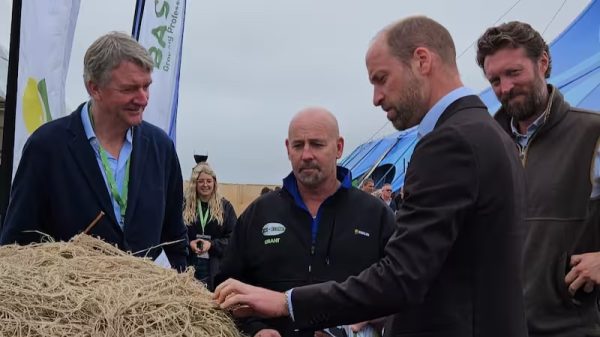 prince-william-examining-kiwi-econet