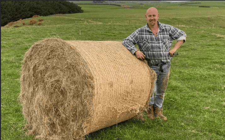 kiwi-econet-wrapped-bale