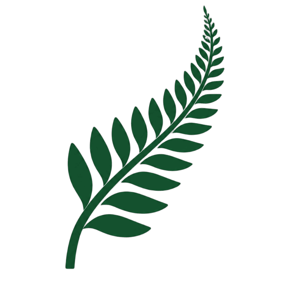 EcoNetStore Sustainable Fern Leaf Close-up of a green fern leaf, symbolising eco-friendly and sustainable products offered by EcoNetStore. Perfect for environmental and nature-focused themes.
